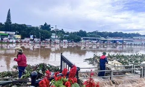 Lâm Đồng: Nhiều nhà dân tại Tp.Đà Lạt ngập nặng sau mưa lớn